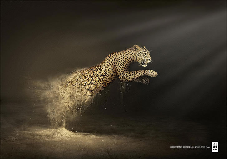 publicidad poderosas animales-40