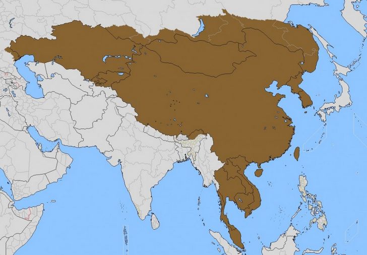 imperio mongol