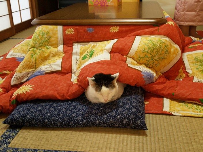 kotatsu japon cama (2)