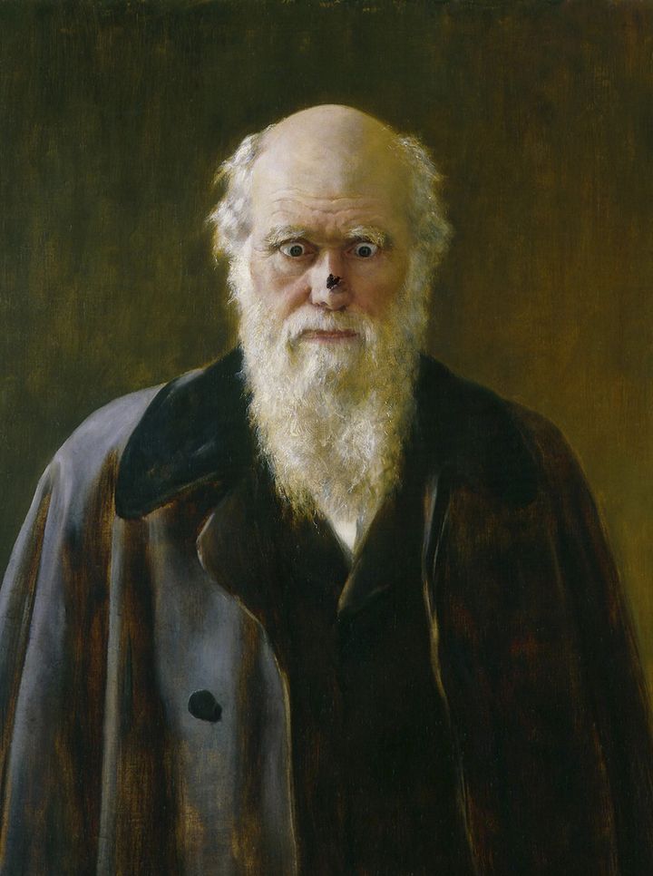 Darwin retrato