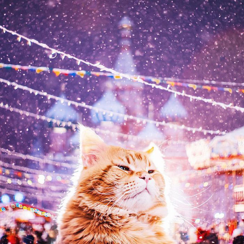celebracion_Navidad_Rusia_Moscu (12)