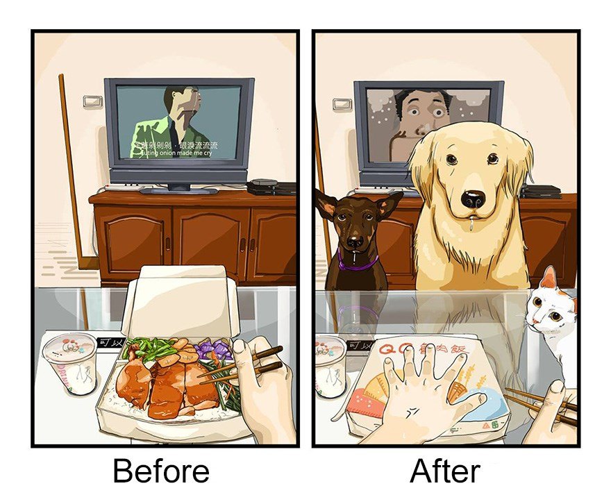 ilustraciones mascotas antes y despues (1)