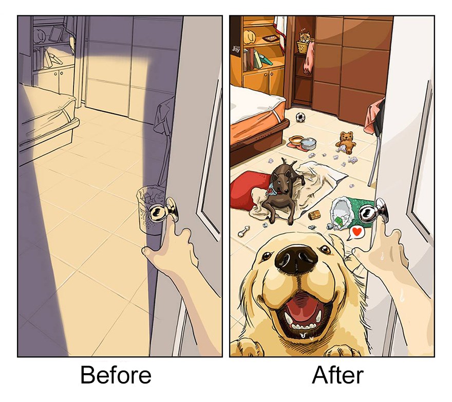 ilustraciones mascotas antes y despues (3)