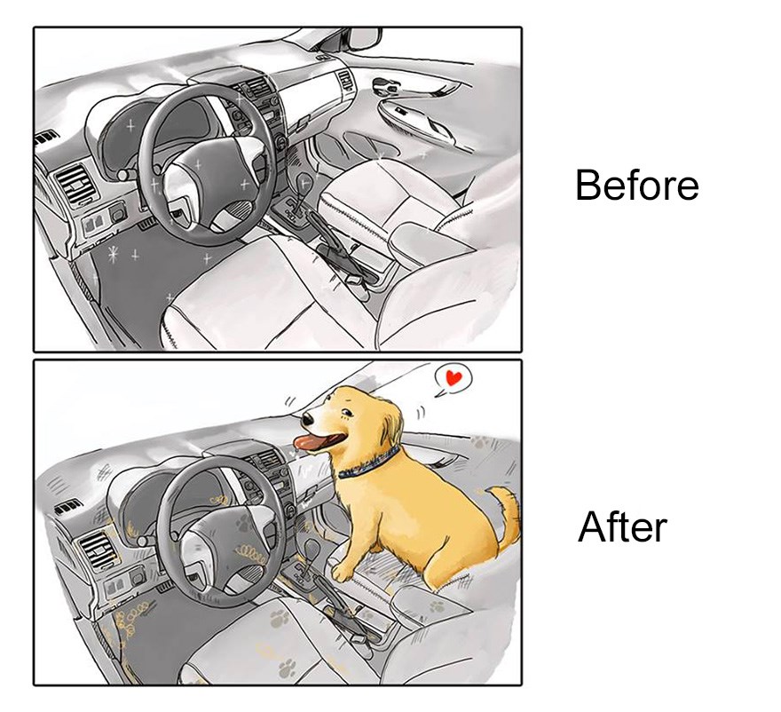ilustraciones mascotas antes y despues (4)