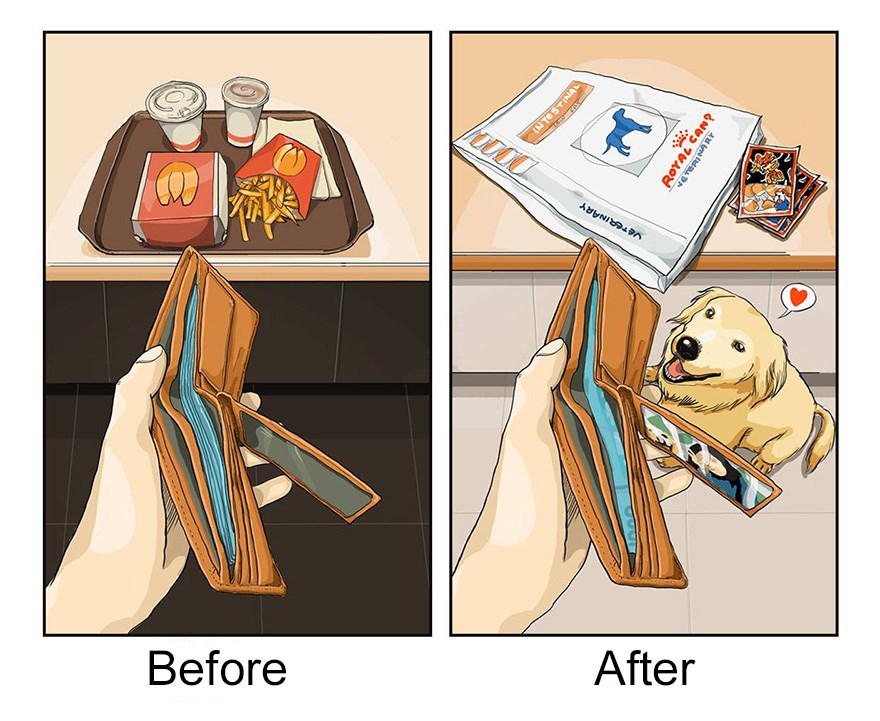 ilustraciones mascotas antes y despues (5)