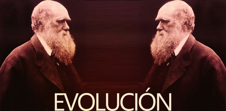 evolucion c darwin