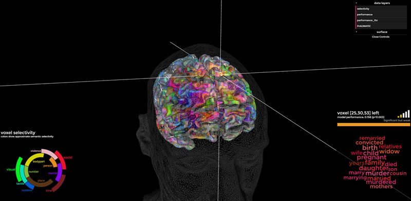 mapa del cerebro