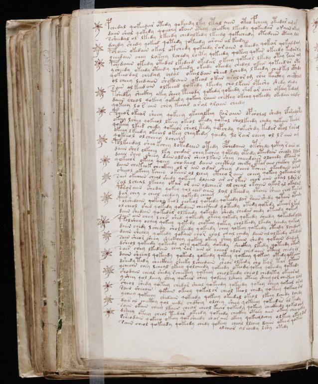 paginas del Manuscrito Voynich (12)