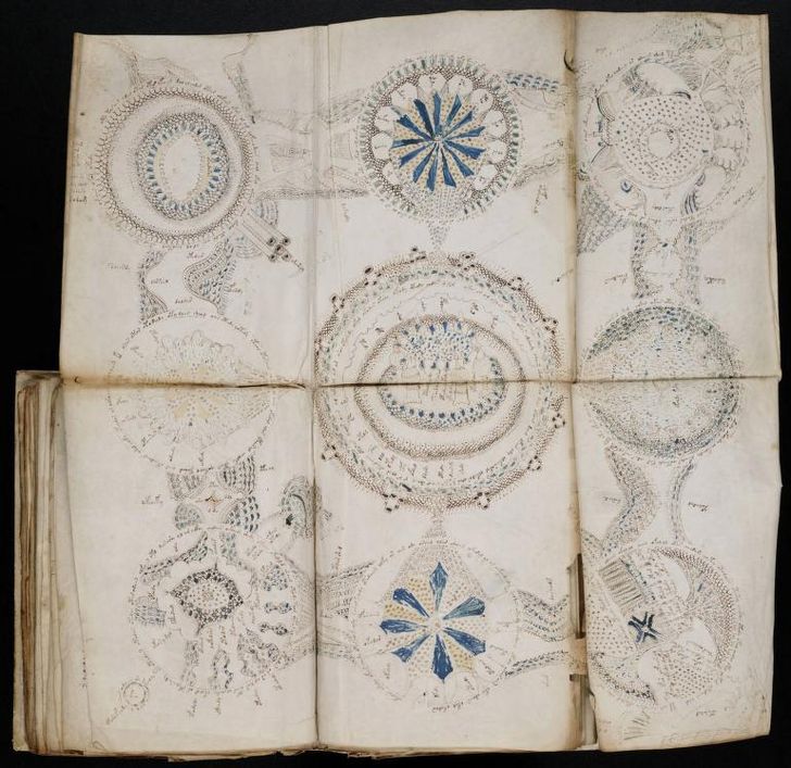 paginas del Manuscrito Voynich (13)