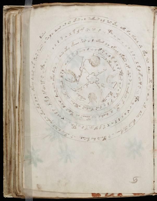 paginas del Manuscrito Voynich (2)