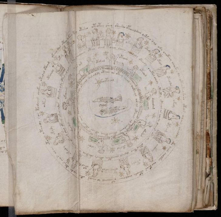 paginas del Manuscrito Voynich (5)