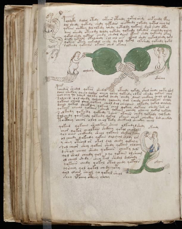 paginas del Manuscrito Voynich (7)