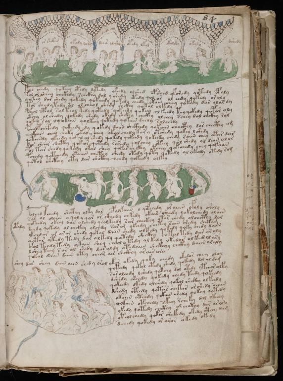 paginas del Manuscrito Voynich (8)