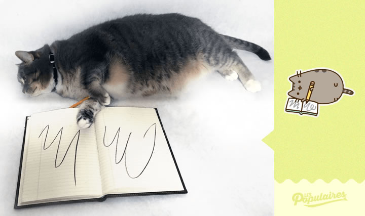 pusheen gato vida real escritura(4)