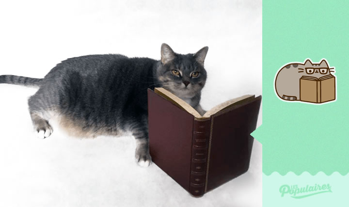 pusheen gato vida real lectura (9)