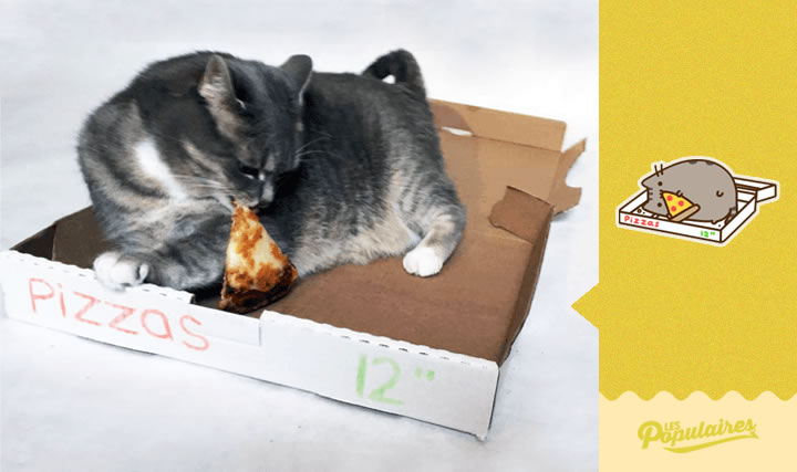 pusheen gato vida real pizza(12)