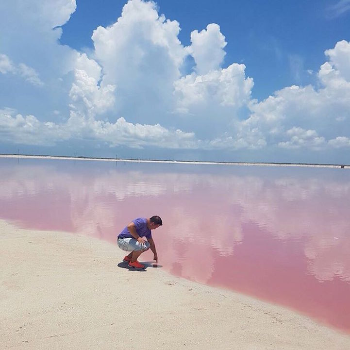las coloradas lago rosa (4)