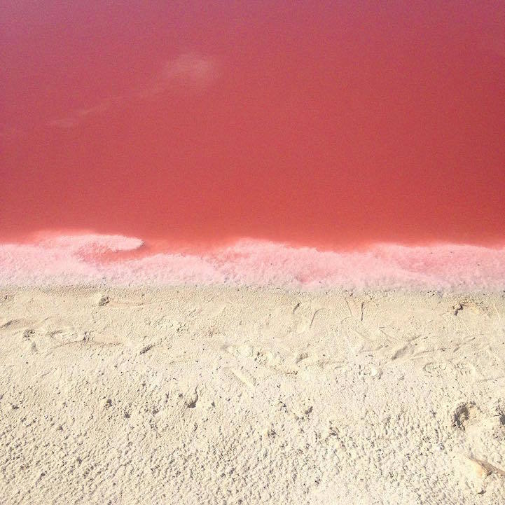 las coloradas lago rosa (6)