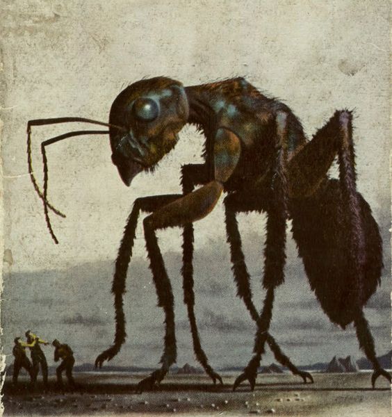 hormiga-gigante