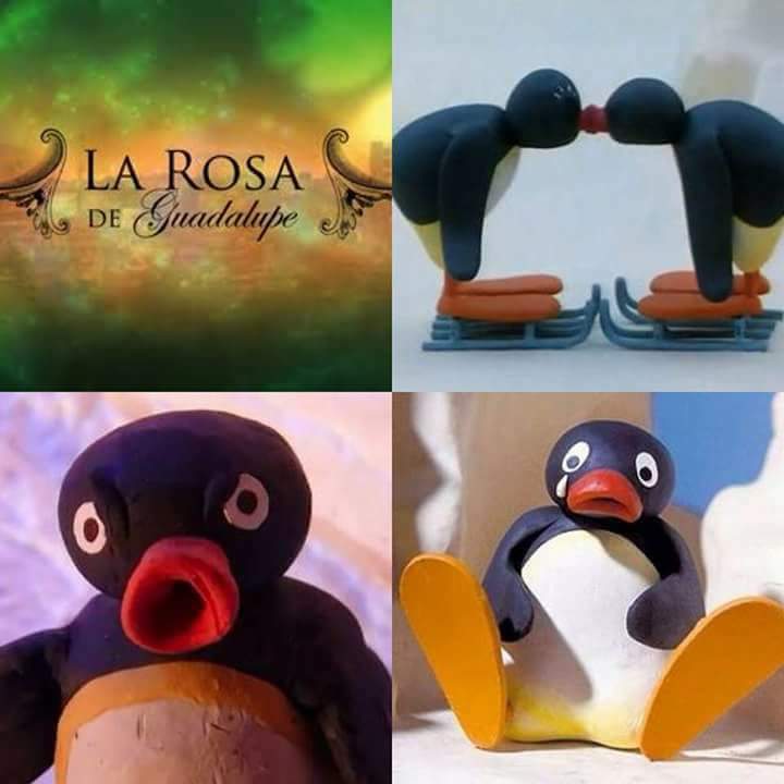 memes-lady-pinguino-1