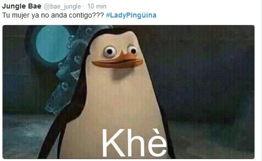 memes-lady-pinguino-5