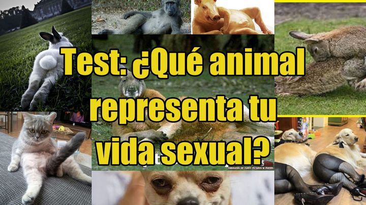 test-animales-vida-sexual