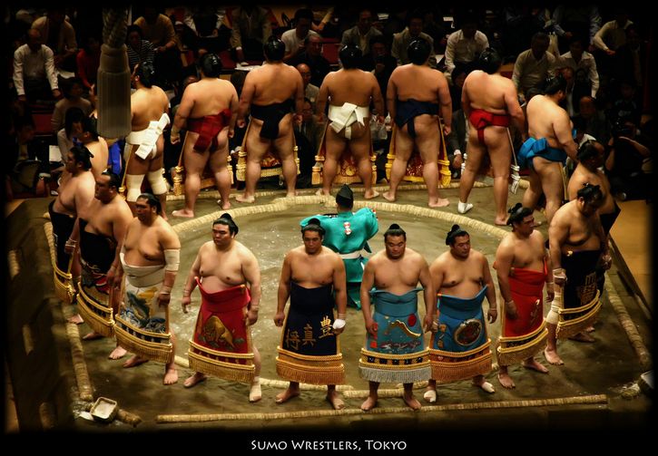 peleadores de sumo formados