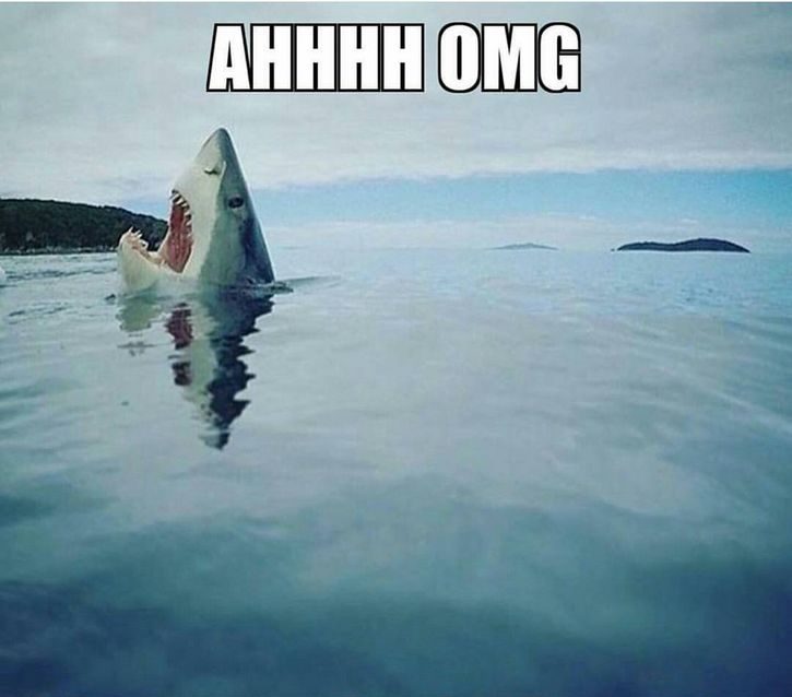 tiburon pisando lego