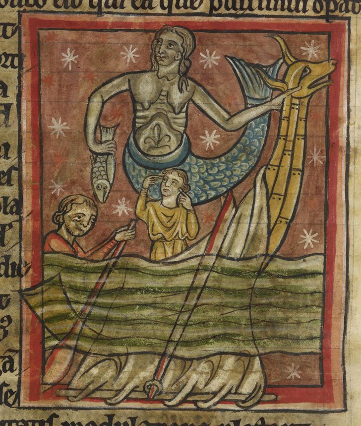 sirena ilustraciones medieval