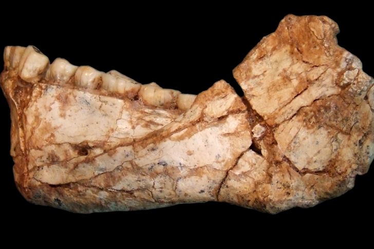 restos de mandibula homo sapiens en Jebel Irhoud