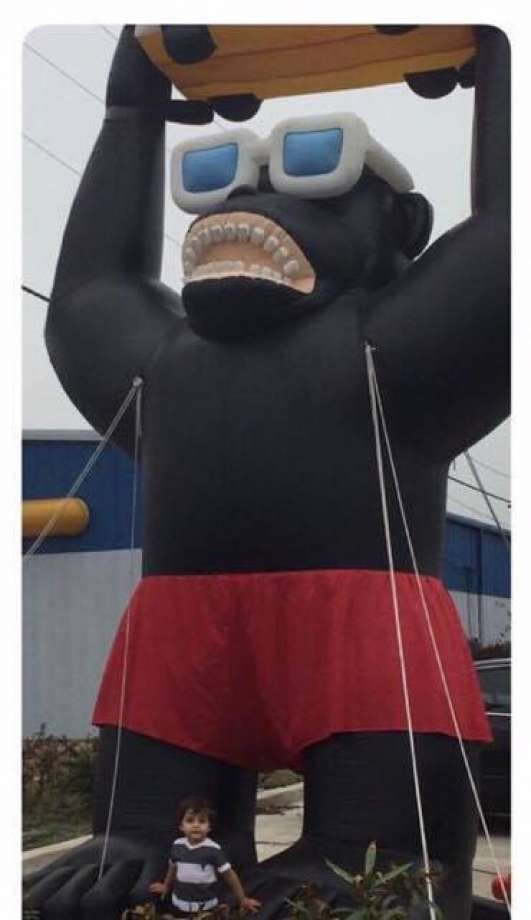 gorilla robado de la concecionaria fiat en texas