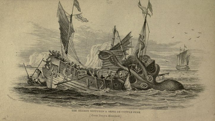 ilustracion kraken hunde barco madera