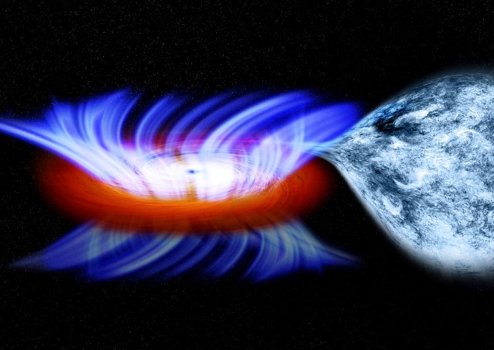 agujero negro masivo absorbe estrella