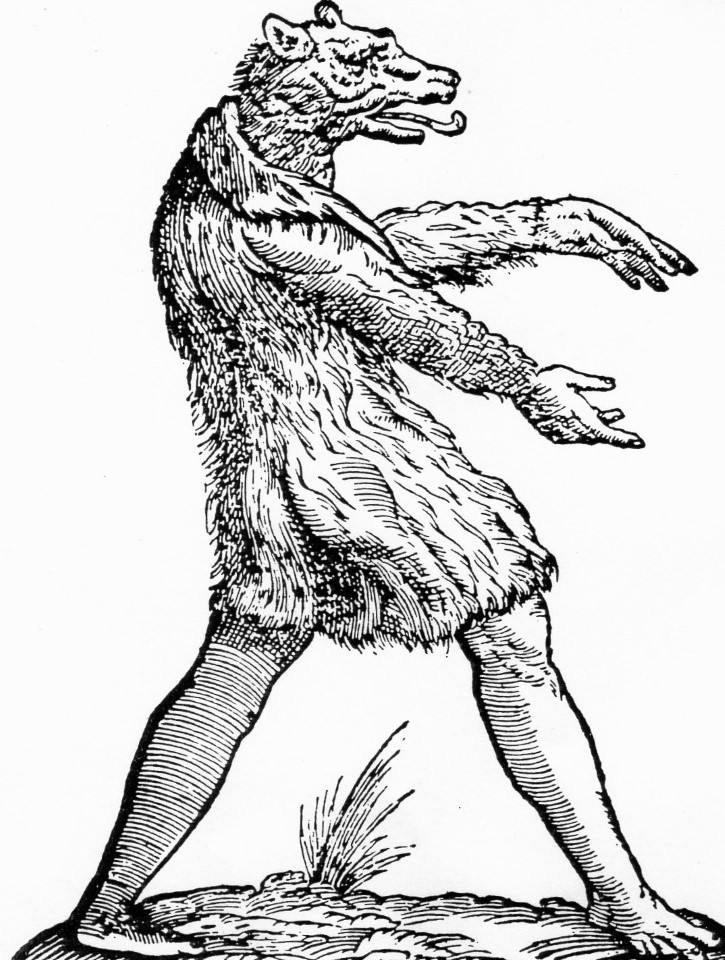 hombre lobo oveja dibujo