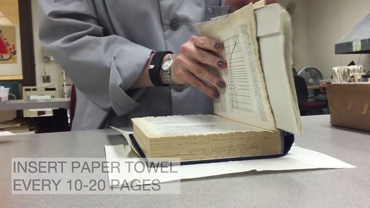 insertar toallas de papel entre paginas