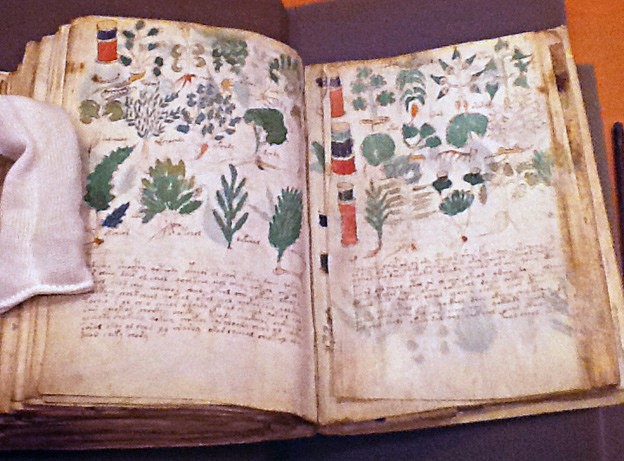 libro manuscrito voynich real