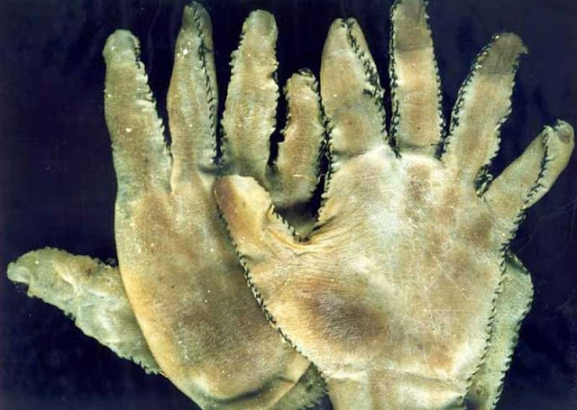 guantes de piel humana
