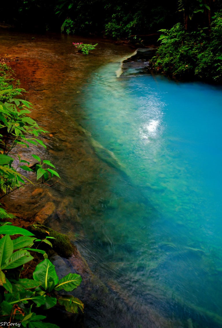 fotografia rio celeste costa rica belleza natural