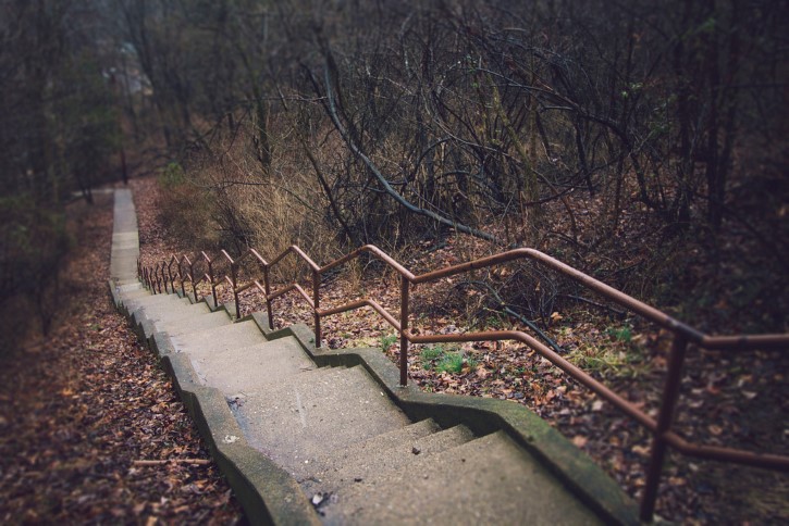 Escaleras en el bosque terror