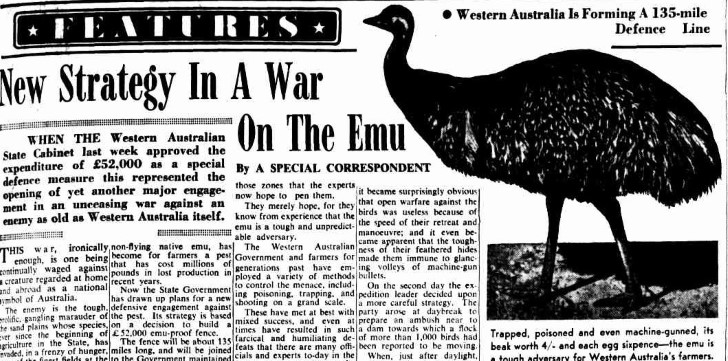 Recorte periodico guerra emus