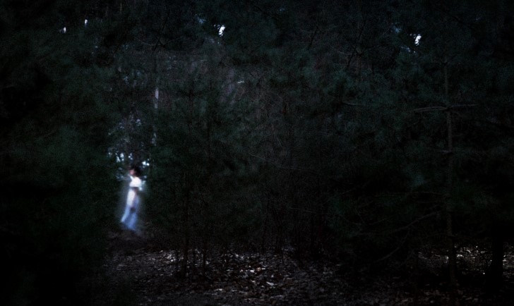 Fantasma en el medio del bosque