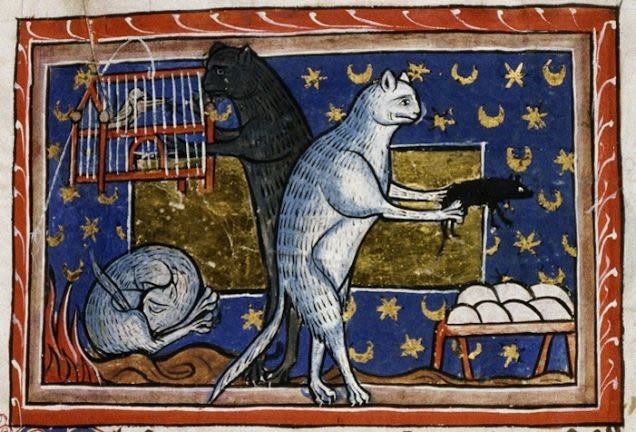 Ilustraciones curiosas obras medievales (9)