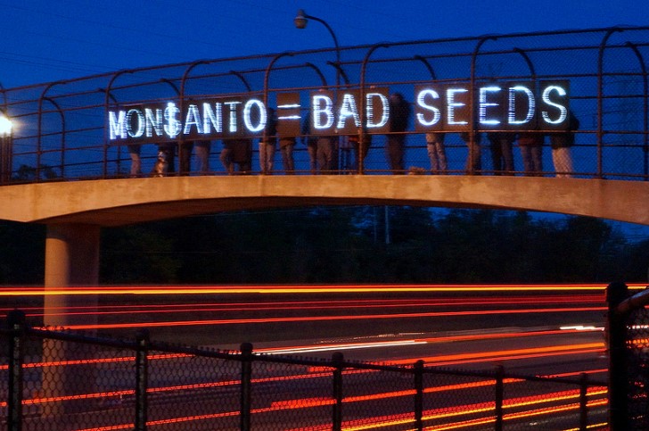 Monsanto bad seeds