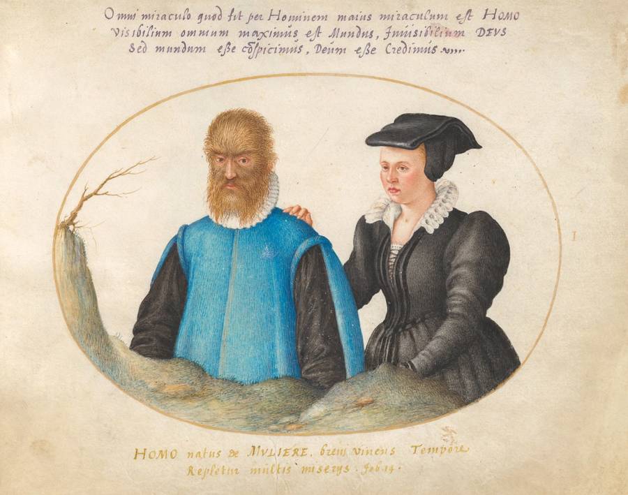 Petrus gonsalvus y lady catalina ilustracion
