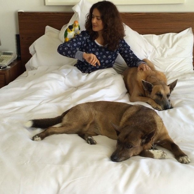 Salma hayek perros en la cama
