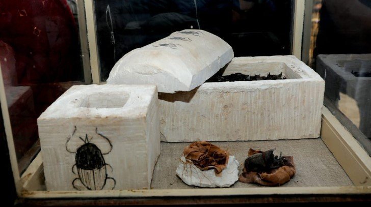 escarabajos momificados en egipto (2)