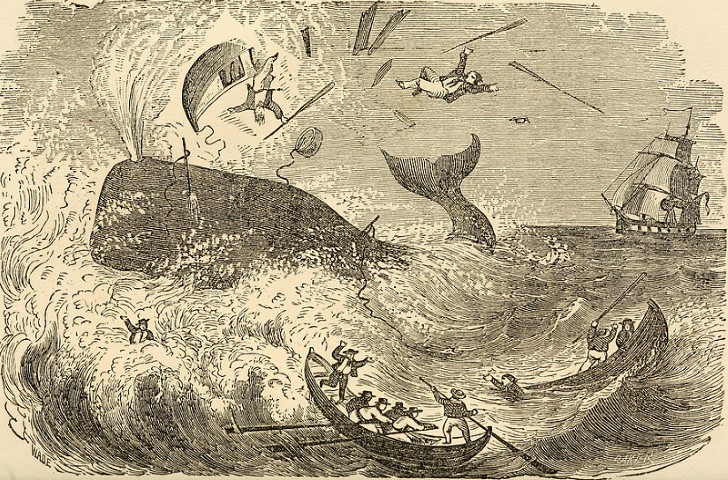 ballena hunde unos botes