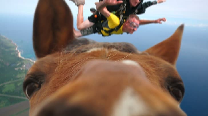 selfie caballo en el aire