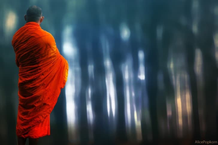 monje budista en el bosque