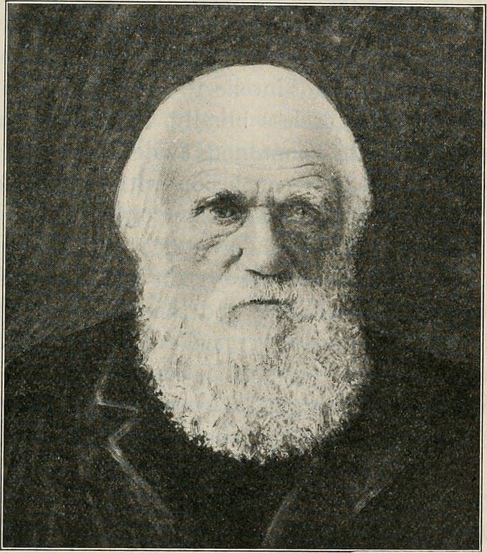 retrato de darwin